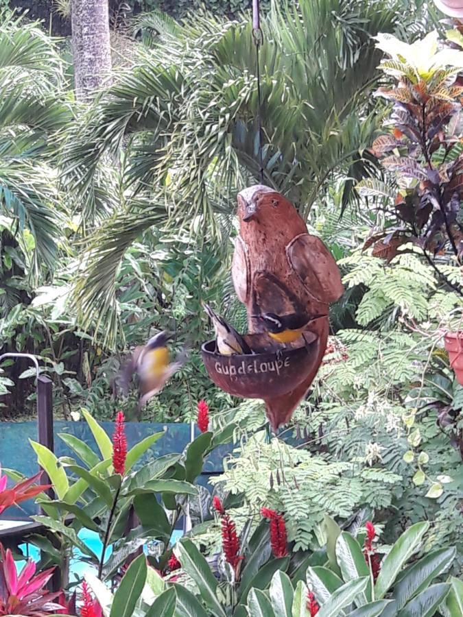 Les Jardins De L'Esperance Villa Bouillante Buitenkant foto