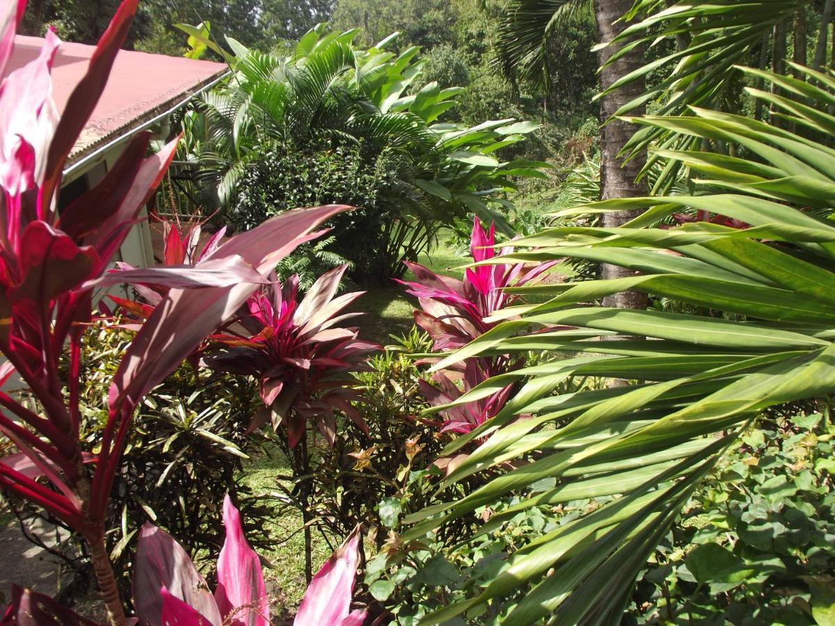 Les Jardins De L'Esperance Villa Bouillante Buitenkant foto