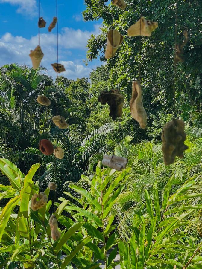 Les Jardins De L'Esperance Villa Bouillante Buitenkant foto